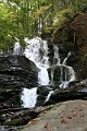 foto 311